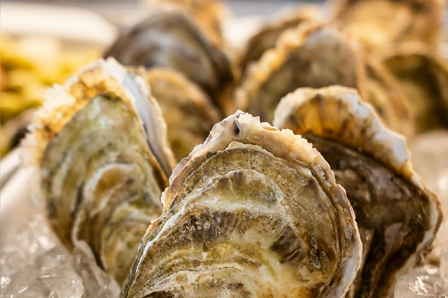 超高壓HPP滅菌設備：破解生蠔脫殼難題的利器